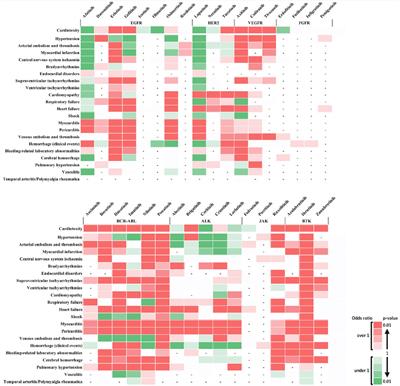 Cardiovascular toxicity risk assessment of tyrosine kinase inhibitors: a pharmacovigilance study using the VigiBase database